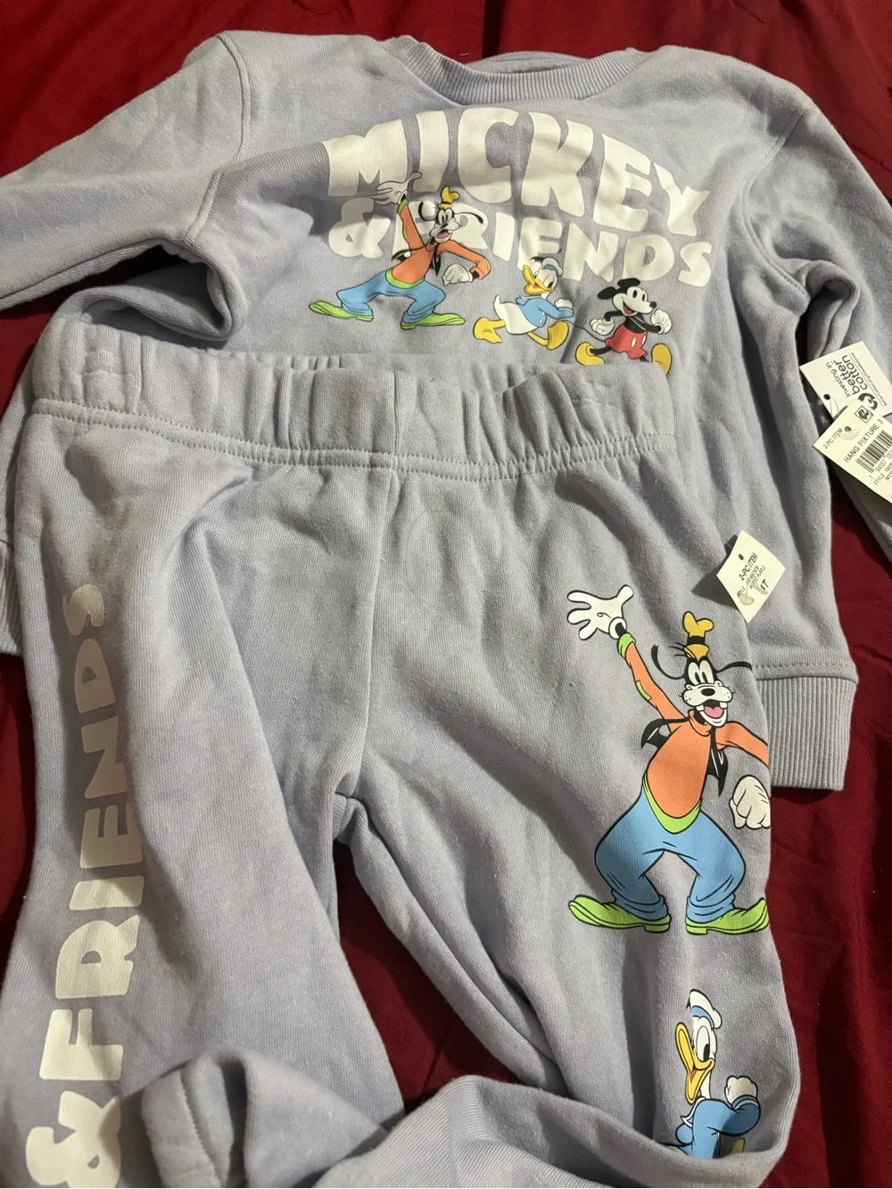 Disney Lavender Mickey & Friends Sweatshirt and Joggers Set